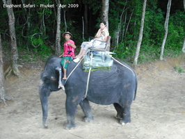 20090417 Half Day Safari - Elephant  39 of 42 